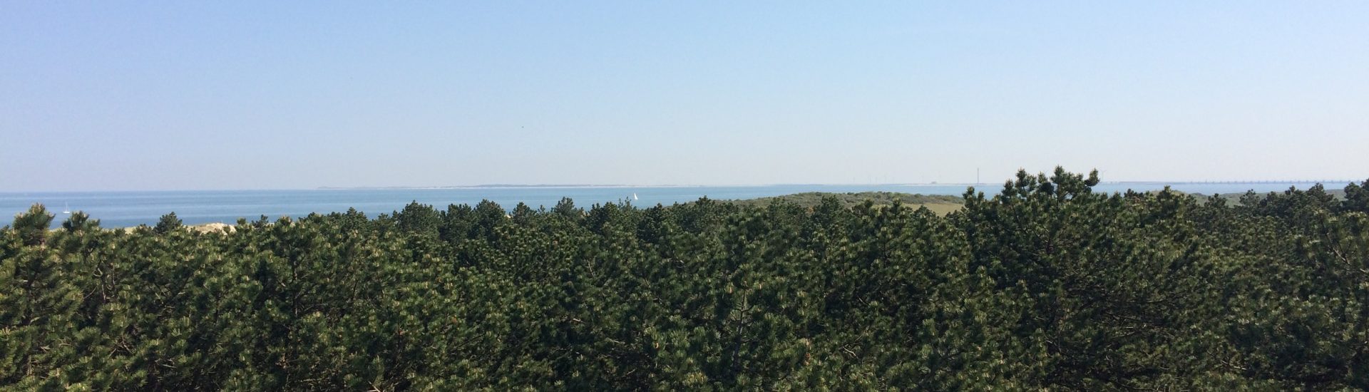 Wald und Dünen zwischen Oostkapelle und dem Meer